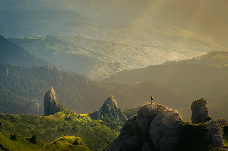 David Marcu 78 A265w Pi O4 Unsplash