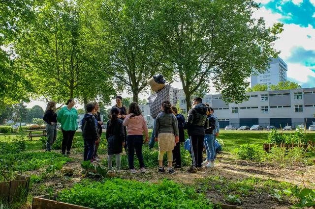 Environnement et transition écologique