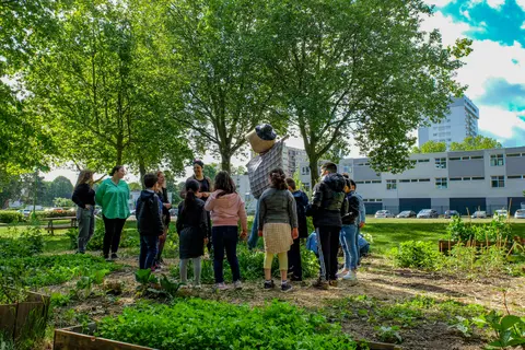 Centres sociaux : animer le lien sur votre territoire